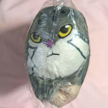 FANS 마눌고양이 봉제 인형 XL 프리미엄