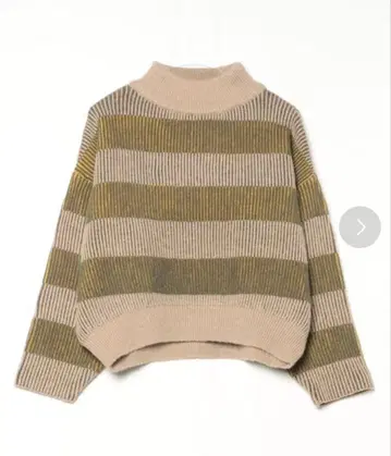 스트라이프 터틀넥 니트