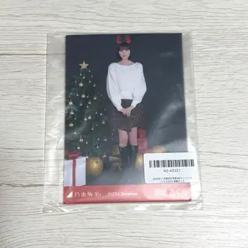 엔도 사쿠라 2025 크리스마스 브로마이드