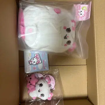 NCTWISH 사쿠야 묶음 판매