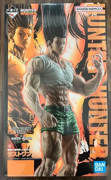 제일복권 HUNTER x HUNTER 라스트 원상 곤 ~성장 ver