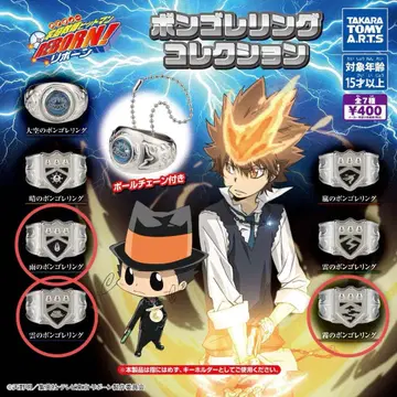 가정교사 히트맨 REBORN! 리본 봉고레 반지 구름 안개 비 세트