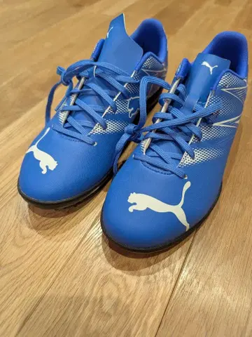 Puma 파란색 트레이닝 슈즈 27cm