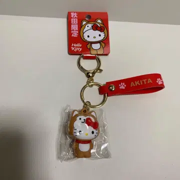 지역 한정 키티 키링