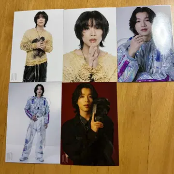 BUDDiiS 브로마이드 세트 SHOOT 모리 슈토 세미컴프