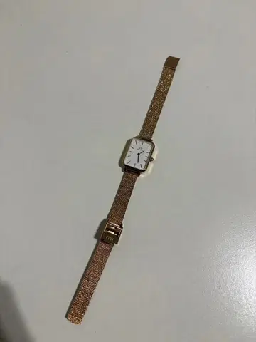 Daniel Wellington 골드 메쉬 밴드 시계