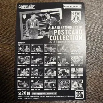 배구 일본 대표팀 엽서 컬렉션 17장 세트