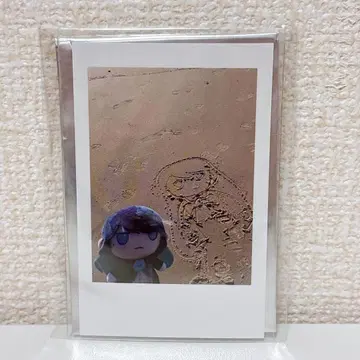 Ado Hibana 폴라로이드풍 트레이딩 카드