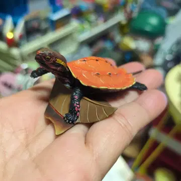 카이요도 류큐산 거북 피규어