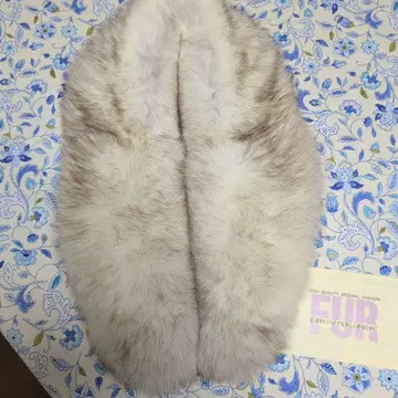 퍼 숄 화이트 베이지 그라데이션 성인식