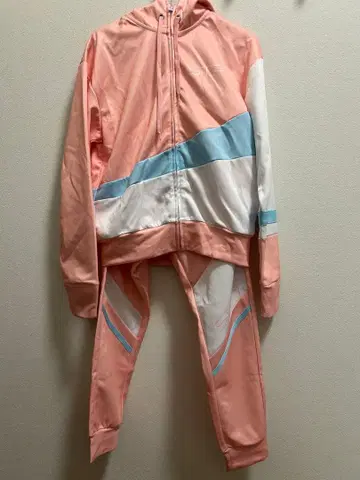 스토푸리 사토미 저지