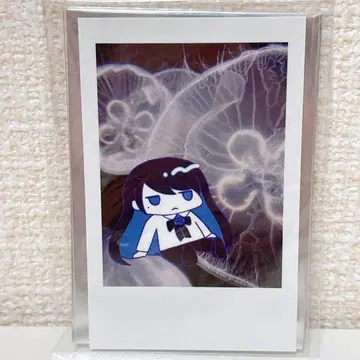 Ado 요다카 폴라로이드풍 트레이딩 카드