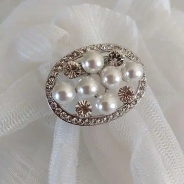 아비 스테 스카프 브로치