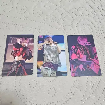 우라타누키 WARN12G 여름 이후 포토 카드 우라시마사카타센