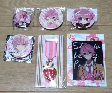 스토푸리 사토미 6점 묶음 판매