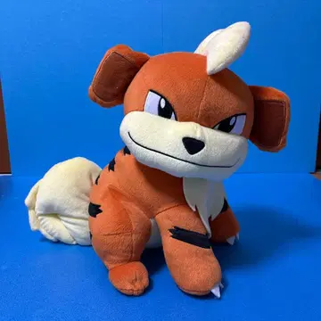 포켓몬 윈디 빅 봉제 인형 약 34cm 빅 사이즈