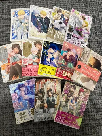 환생 BL 소설 14권 세트