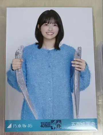 노기자카46 언더 라이브 T셔츠 니트 롱 데님 스커트 이오키 마오 츄