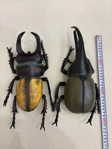 헤라클레스 장수풍뎅이 사슴벌레 BIG 봉제 인형