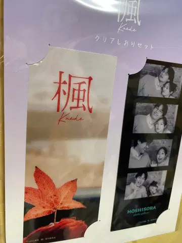 단풍 클리어 책갈피 세트