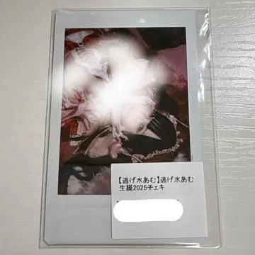 큐루링 해봐 신기루 아무 폴라로이드 (신기루 아무 생탄 2025)