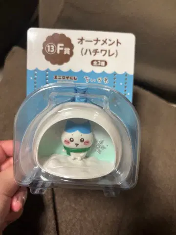 애니마이 복권 치이카와 F상