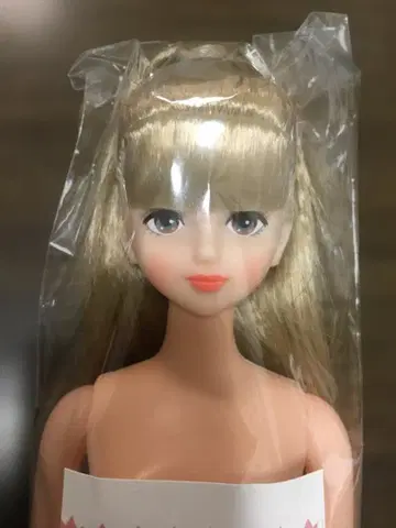 리카짱 캐슬 시온 본체 블론드