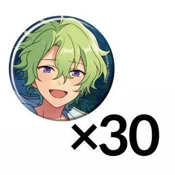 앙스타 컬렉션 캔뱃지 casual 토모에 히요리 30개