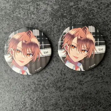 컬러풀 피치 우리 파라피치 캔뱃지