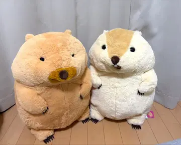 마모트 마모트 더더더 빅 41cm 2세트