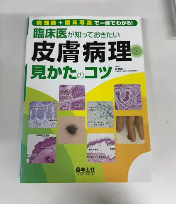 임상의가 알아두고 싶은 피부 병리 보는 법의 요령