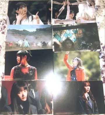 [사쿠라자카] 13번째 싱글 클리어 카드 (6장 세트)