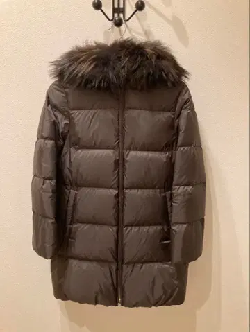 니시카와 다운 나노 유니버스 컨디션 최상 별주