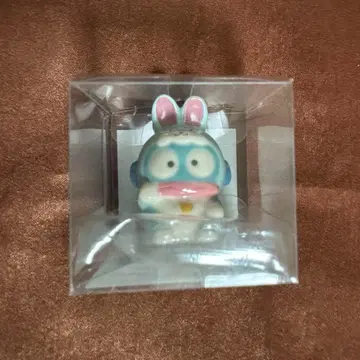 한교동 복을 부르는 마스코트 토끼