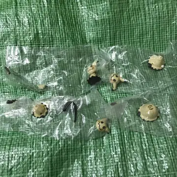 움직이는 미미큐 컬렉션 전 4종 피규어 포켓몬 가챠