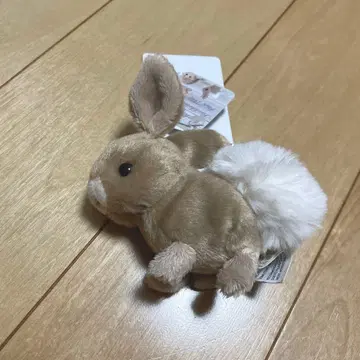 bukowski 부코우스키 봉제 인형 토끼