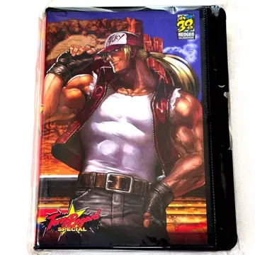 SNK 아랑전설 KOF 테리 보가드전 롬T!