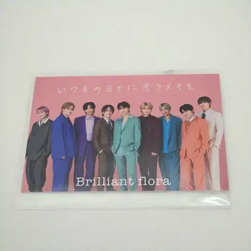 초특급 Brilliant flora 트레이딩 카드 집합