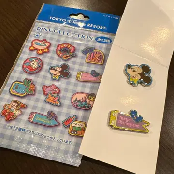 핀 배지 2개 도쿄 디즈니 리조트 핀 컬렉션 미키 플래그