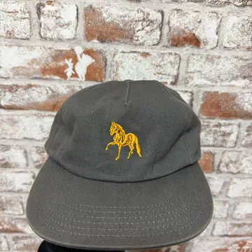 HUF 말 자수 그레이 캡