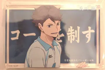 baseyard tokyo 하이큐!! 아크릴 블록 오이카와 토오루