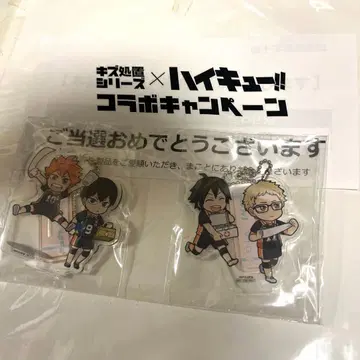 [ 하이큐!! ] 화이트 십자가 [ 흠집 처치 시리즈 ] 아크릴 키링