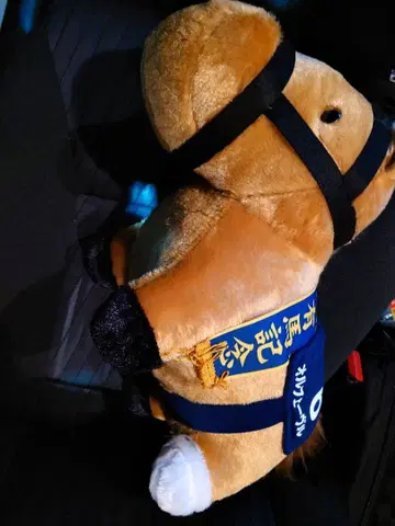 GIGO 한정판 서러브레드 컬렉션 복슬복슬 BIG 오르페브르 봉제 인형