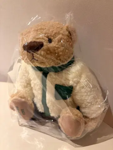 REGAL 오리지널 테디베어 [부티] 레귤러 사이즈