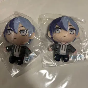 프로세카 세가 럭키 쿠지 푸치 누이 마스코트 사복 아오야기 토우야