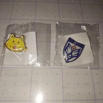 BUMP OF CHICKEN 핀 배지 2개 세트