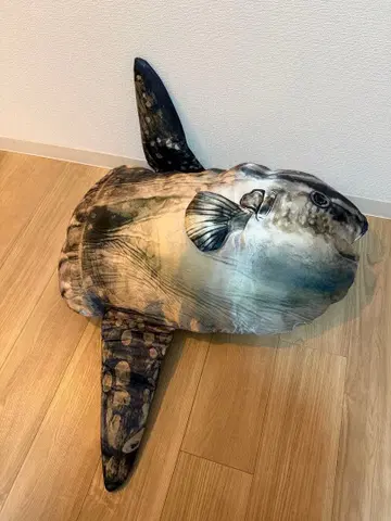 거대 개복치 봉제 인형 BIG 뽑기 게임