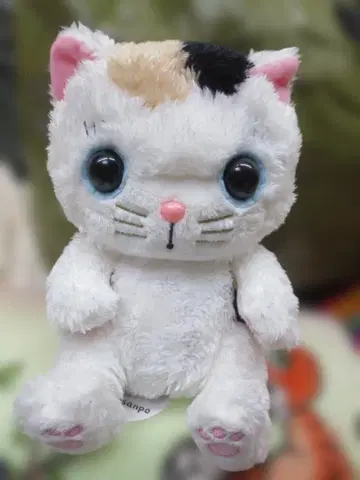 택 포함 마루의 산책 봉제 인형 미케마루 20cm 삼색 고양이