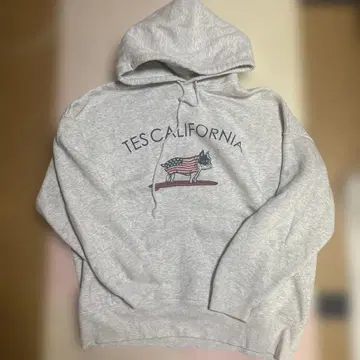 The Endless Summer tes FLAG SHOP 한정판 후드티