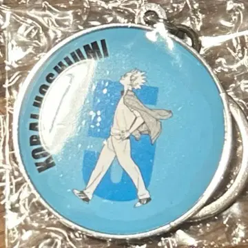 하이큐!! RUN 메탈 키링 컬렉션 호시우미 코라이 점프페스